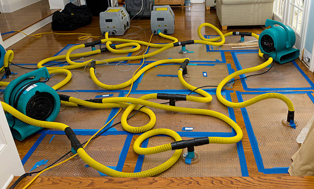 Professional Crawl Space Water Removal technician working in Wimbledon, ND
